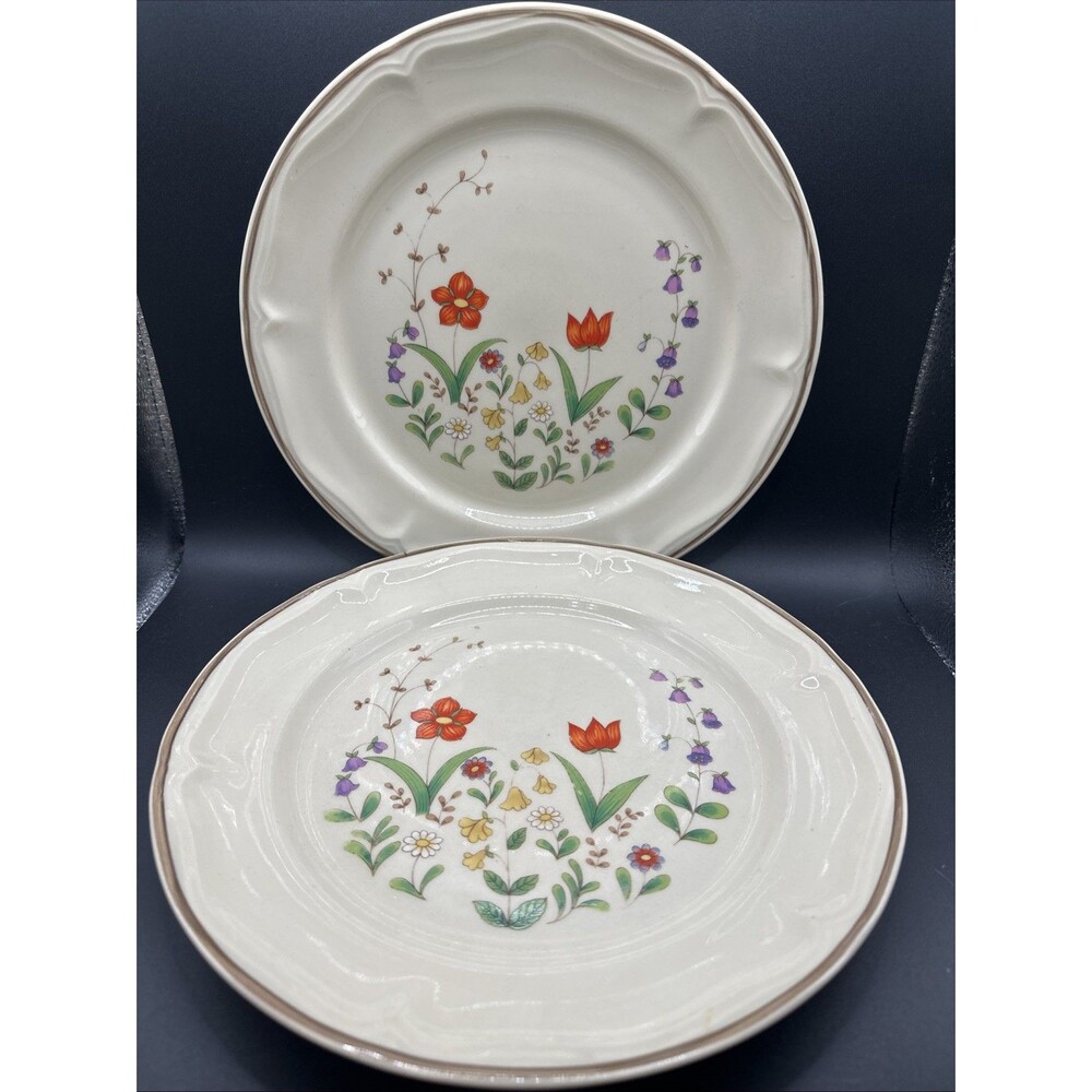 2 Newcor 10 3/4" Stoneware Dinner Plates, Spring Garden #6001 Pattern, Thailand